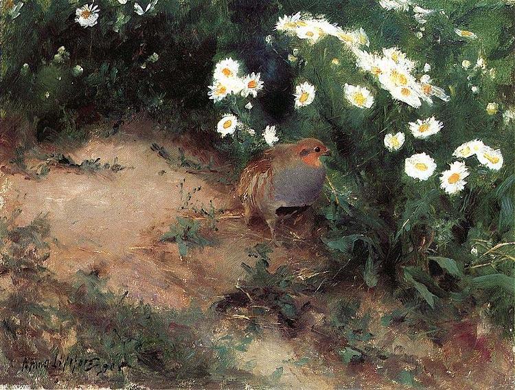 bruno liljefors Partridge with Daisies oil painting picture
